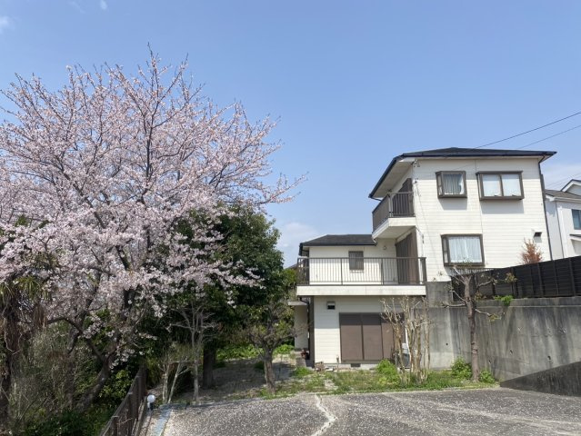 常滑市青海町4丁目の外観|春には桜が咲きお花見できます