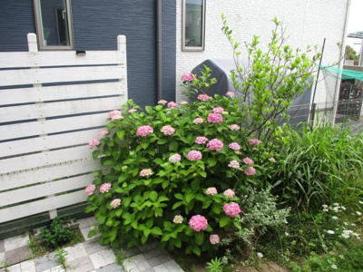 【その他】 | 湯川三丁目2番32号（B-18）