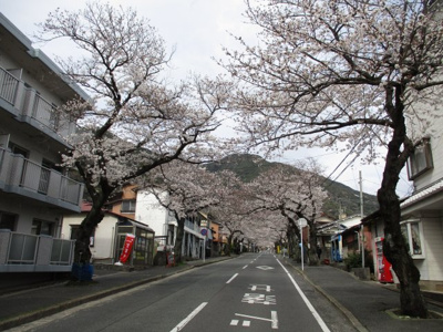 【その他】 | 湯川三丁目2番32号（B-18）