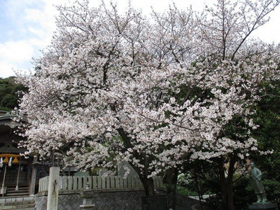 【その他】 | 湯川三丁目2番32号（B-18）