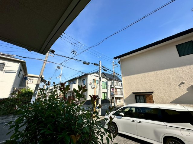 パレブロンの展望