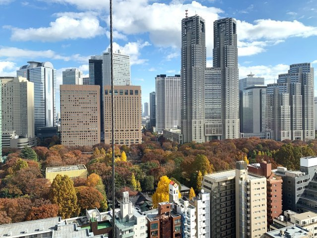 シティタワー新宿新都心の展望