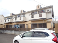 スターパレスＤ棟の画像