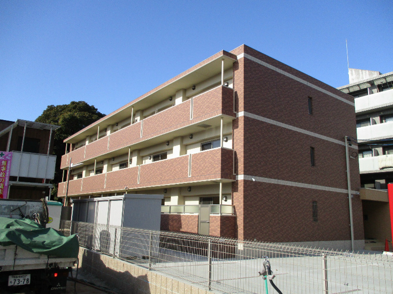 スカーバティー葵