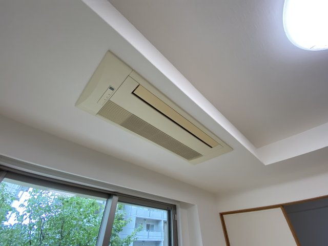 グランドメゾン住吉本町ネクスの内装