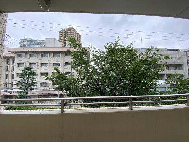グランドメゾン住吉本町ネクスの展望