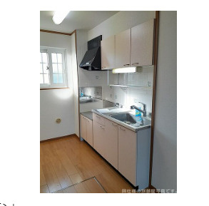 紀の川市一棟アパートガレージ付きの独立洗面台