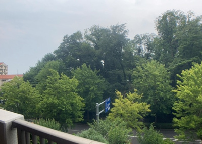 【展望】 | パークフィーネ南大沢３番館 | 眺望の良さを楽しめるダイニングキッチンで家族団らんの時間を過ごしてはいかがでしょうか。バルコニーから見える景色を家族で眺める時間は、時間が経つのを忘れてしまいそうですね。是非、現地を見に行きましょう！