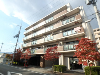 【外観】 | ベルパレス高木