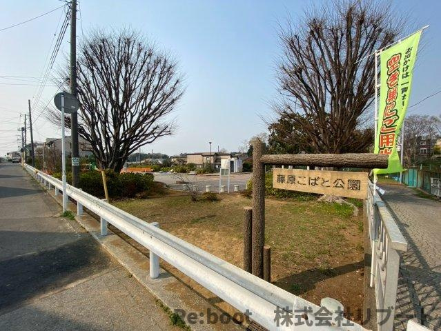 サウスヒル藤吉の周辺