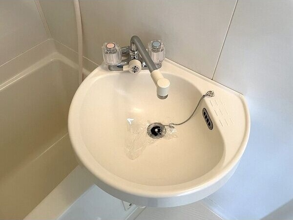 SurplusKATOB棟の洗面所