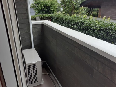 【展望】 | シャミニョンキナ