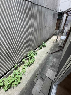 【その他】 | 東大阪市中小阪3丁目貸家