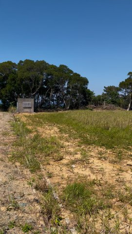 名護市数久田　農地（農振地域）の外観