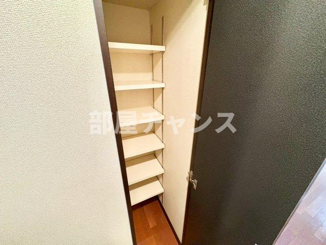 ラヴィール名駅南の収納