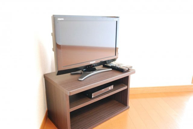 レオパレス弘法のその他|テレビ