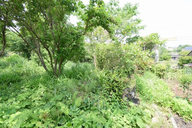 【外観】 | 大室高原別荘地　売地