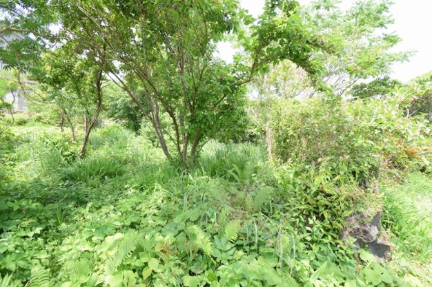 【外観】 | 大室高原別荘地　売地