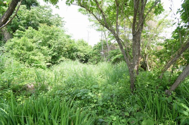 【外観】 | 大室高原別荘地　売地