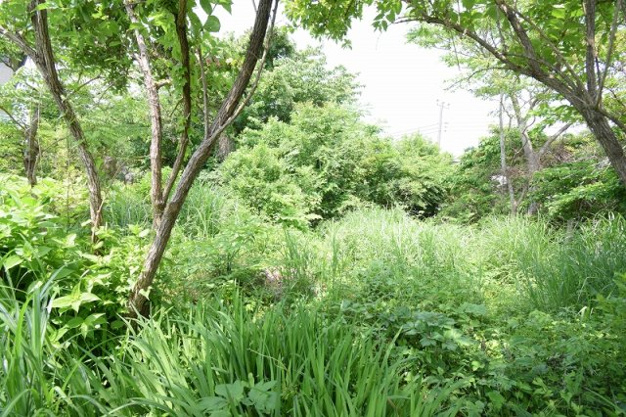 【外観】 | 大室高原別荘地　売地