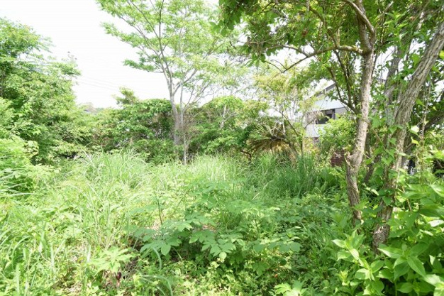 【外観】 | 大室高原別荘地　売地