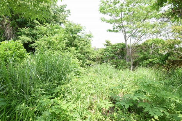 【外観】 | 大室高原別荘地　売地