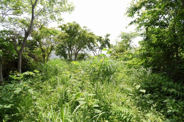 【外観】 | 大室高原別荘地　売地