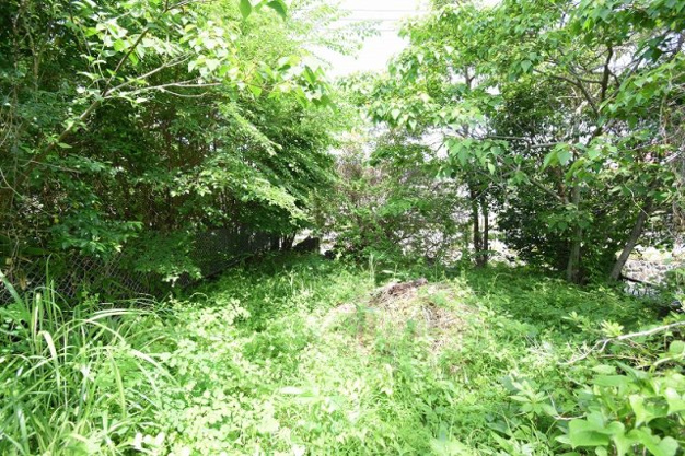 【外観】 | 大室高原別荘地　売地