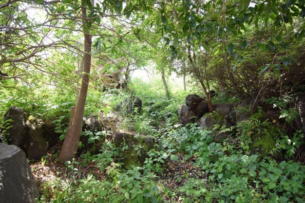 【外観】 | 大室高原別荘地　売地