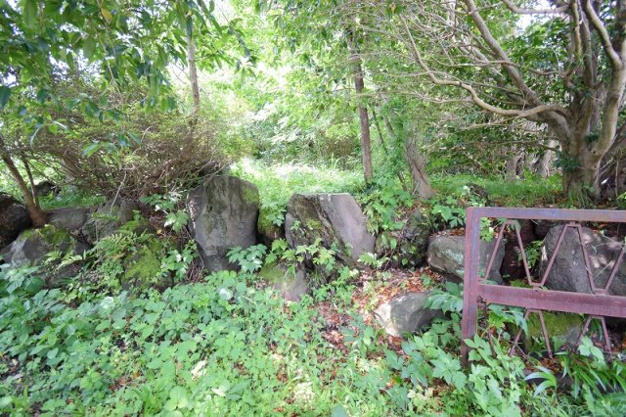 【外観】 | 大室高原別荘地　売地