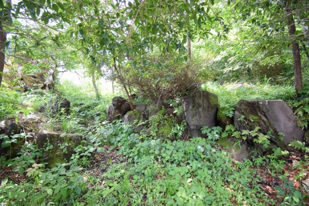 【外観】 | 大室高原別荘地　売地