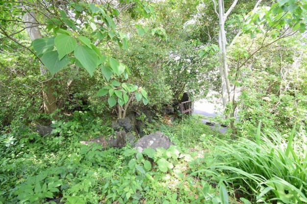 【外観】 | 大室高原別荘地　売地