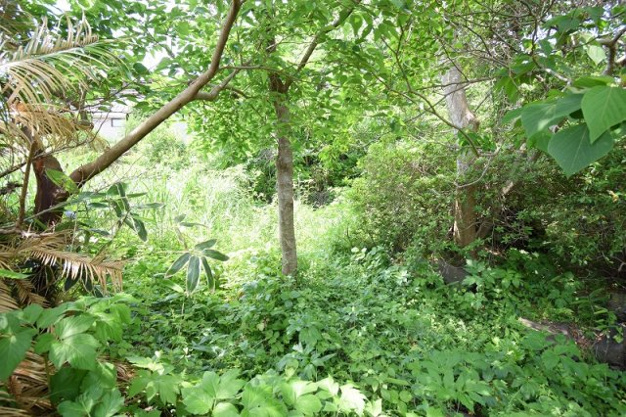 【外観】 | 大室高原別荘地　売地