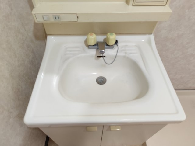 フォルテーヌ大杉の独立洗面台