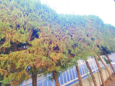 【展望】 | Casa・BA