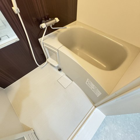 ヴェザリアのセキュリティ