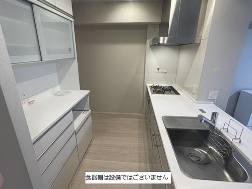 熊本市中央区桜町の賃貸マンションのキッチン