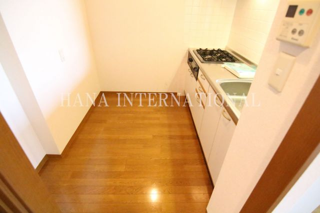 アウラ１０のキッチン