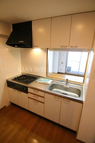 アウラ１０のキッチン