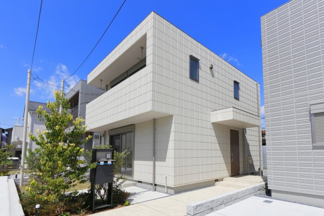 フリージア一色