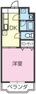 フォルテＮの画像