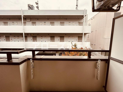 【展望】 | フィールドクレイン