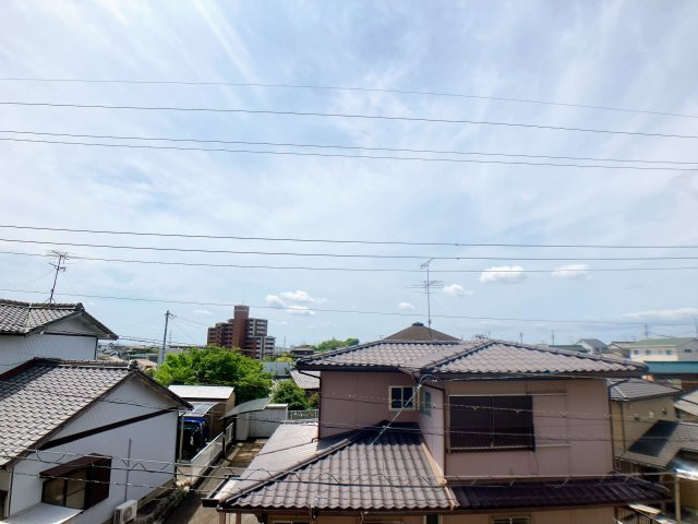 Fran Hillsの展望