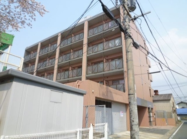 バニヤンツリー野芥