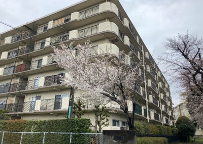 【外観】 | ネオコーポ町田 | 道幅が広い場所は日当たりや風通が良好です。幅が広いのですれ違いも可能ですし大きな車でも駐車可能！一方で、大型車が通ることも多くなるため交通量の増加により騒音に繋がります。また土地の値段が高くなります。