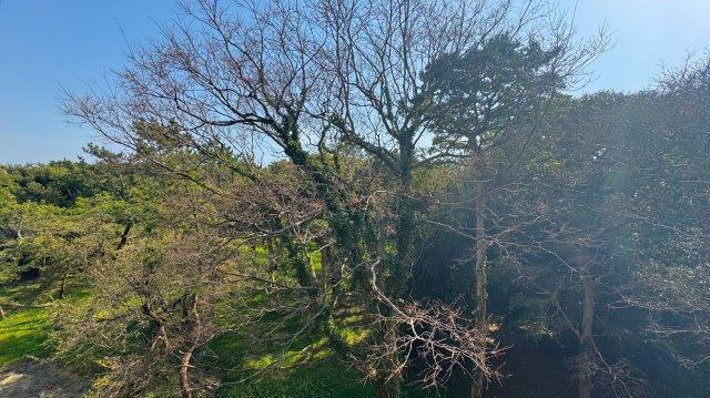 ワールド21の展望