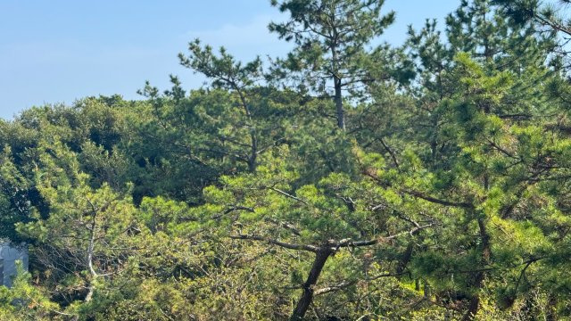 ワールド21の展望