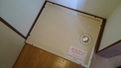 【その他】 | エルディム大沼