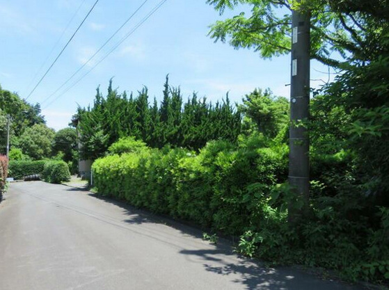 【その他】 | 伊東市富戸　売地