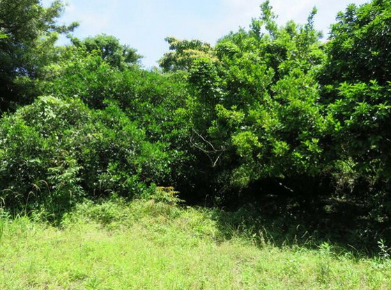 【外観】 | 伊東市富戸　売地